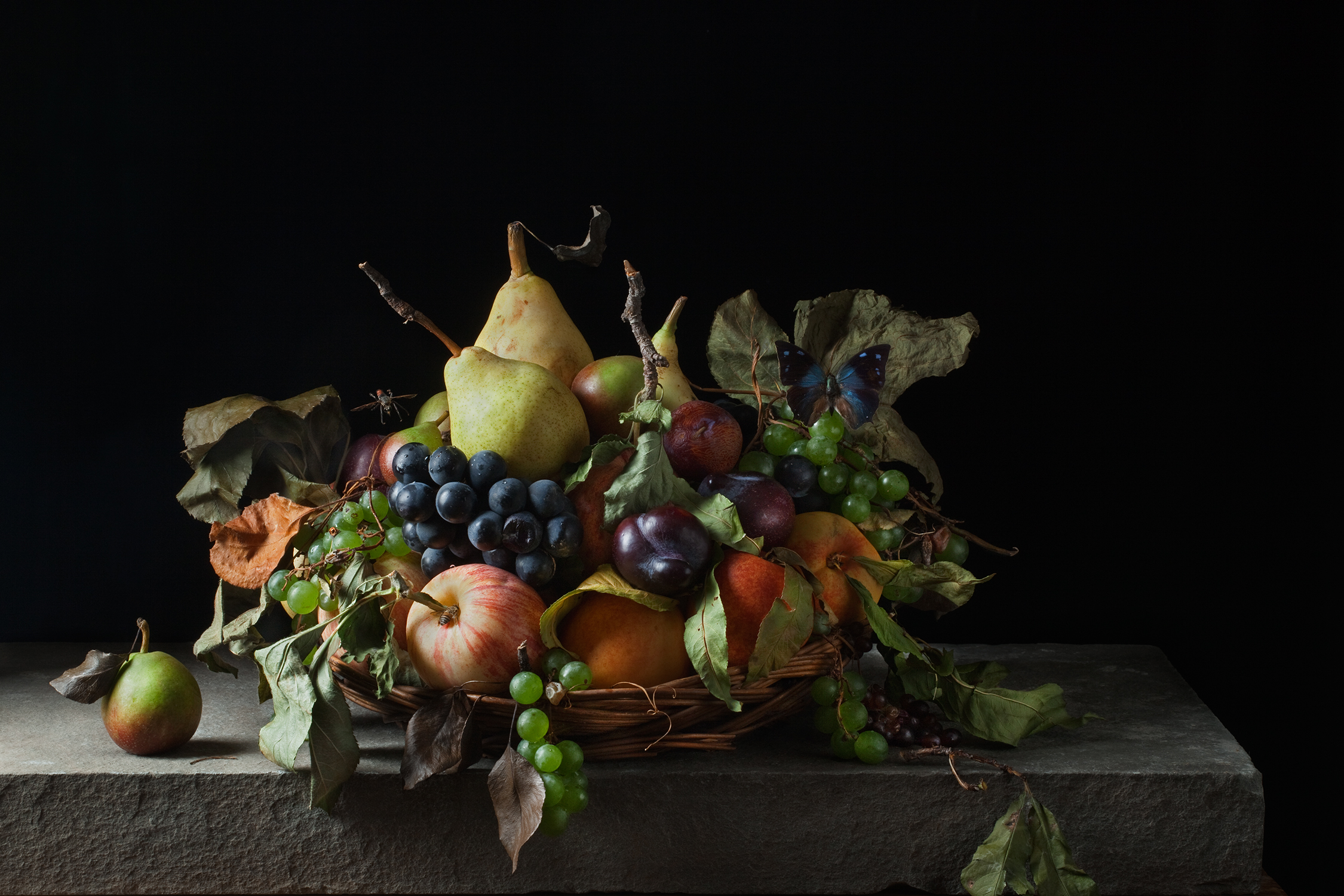Fruit Basket, After M.M.D.C., 2011