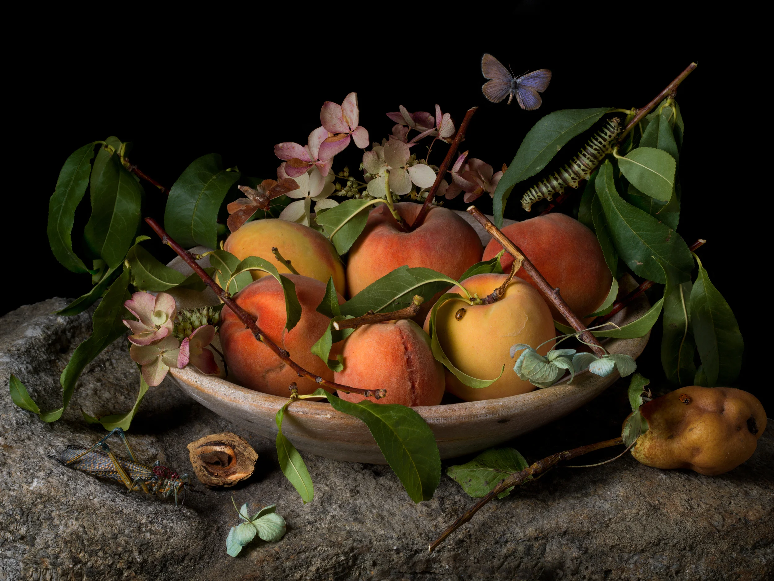 Peaches and Hydrangeas, After G.G., 2015