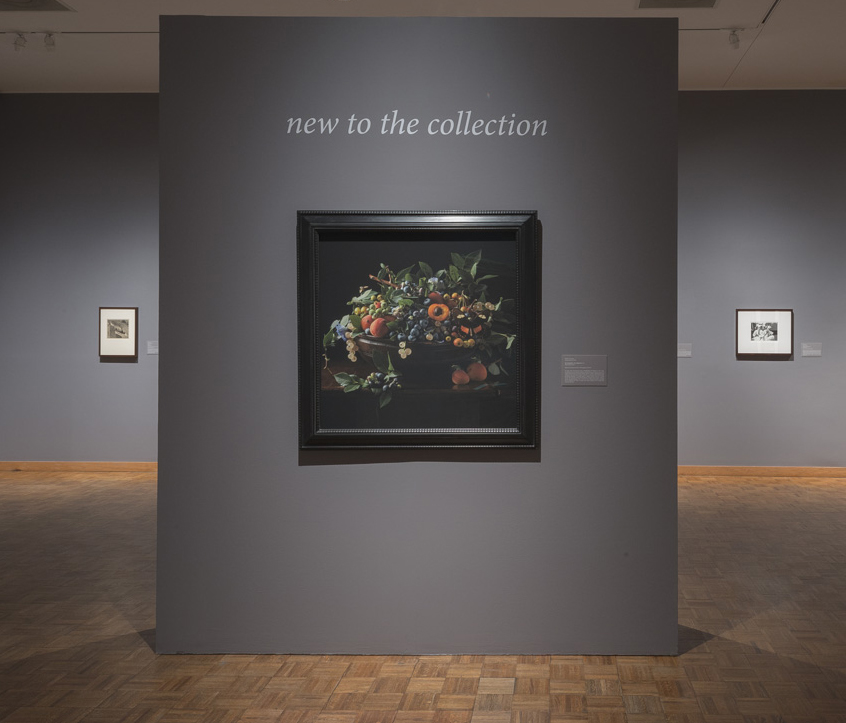 Solo Show Snite Museum, Notre Dame
