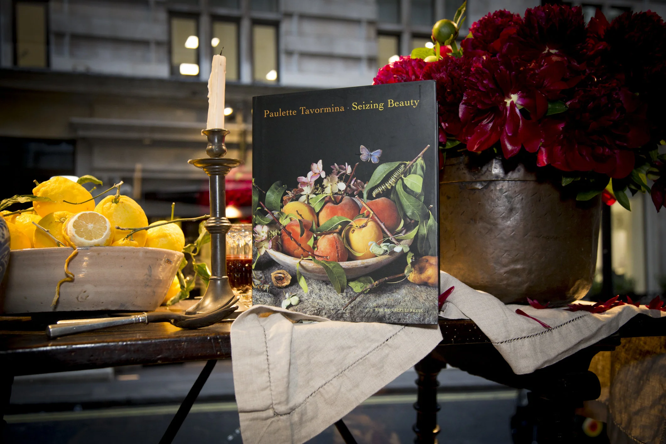 Seizing Beauty Monograph Book