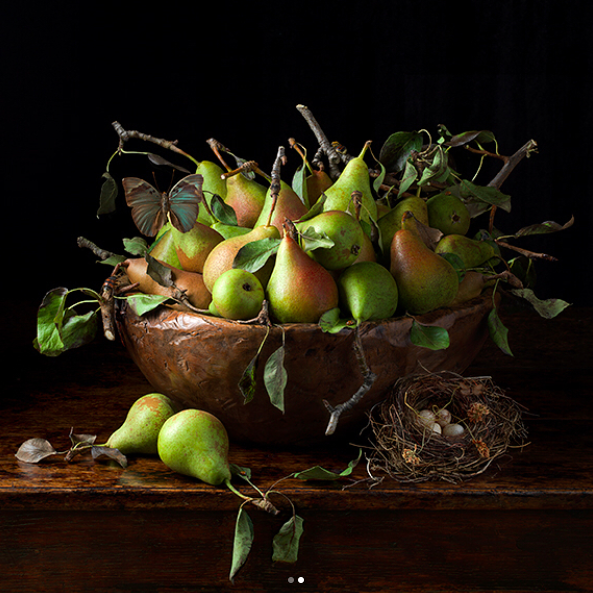 Orchard Pears, 2016