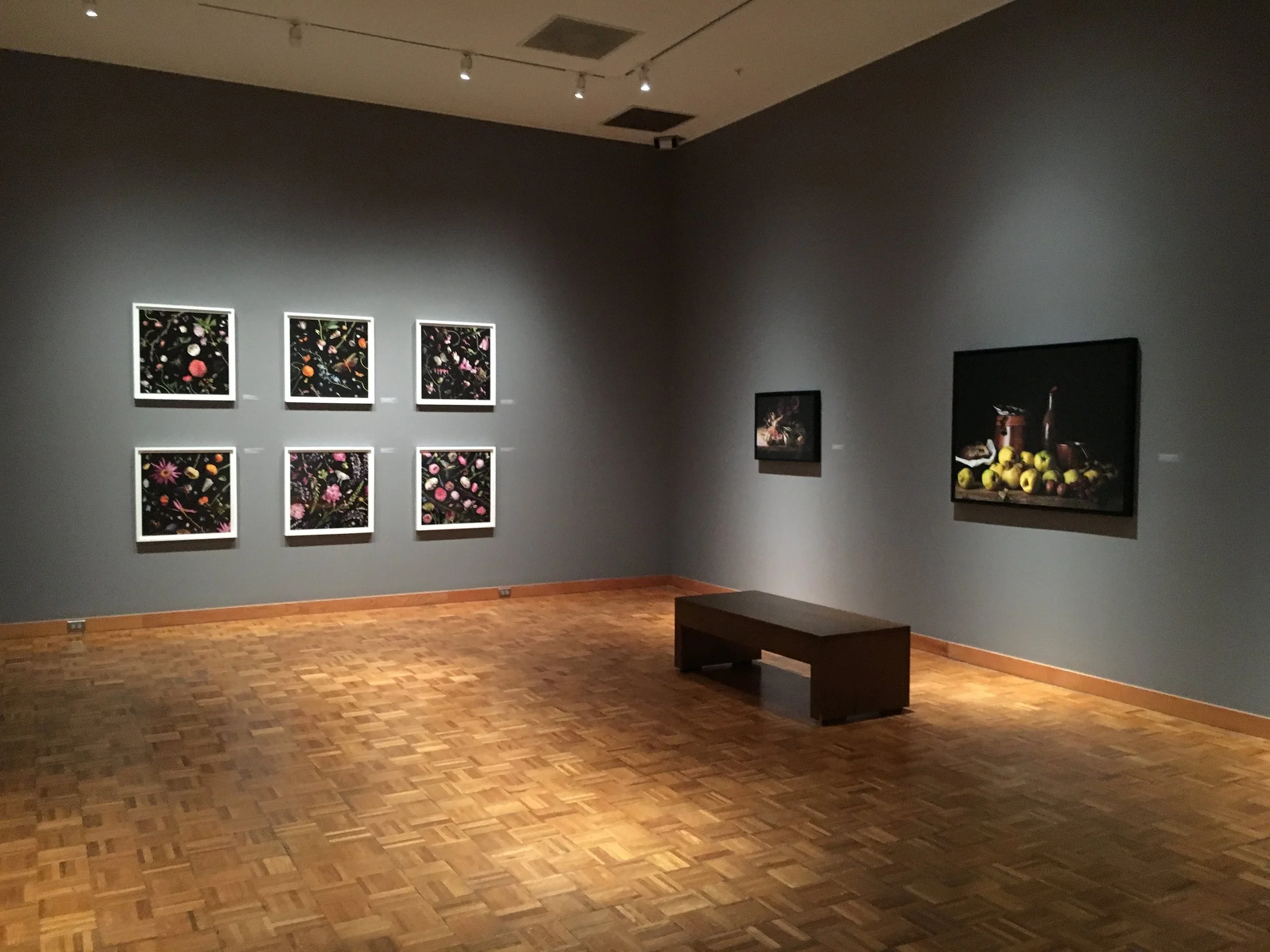 Solo Show Snite Museum, Notre Dame