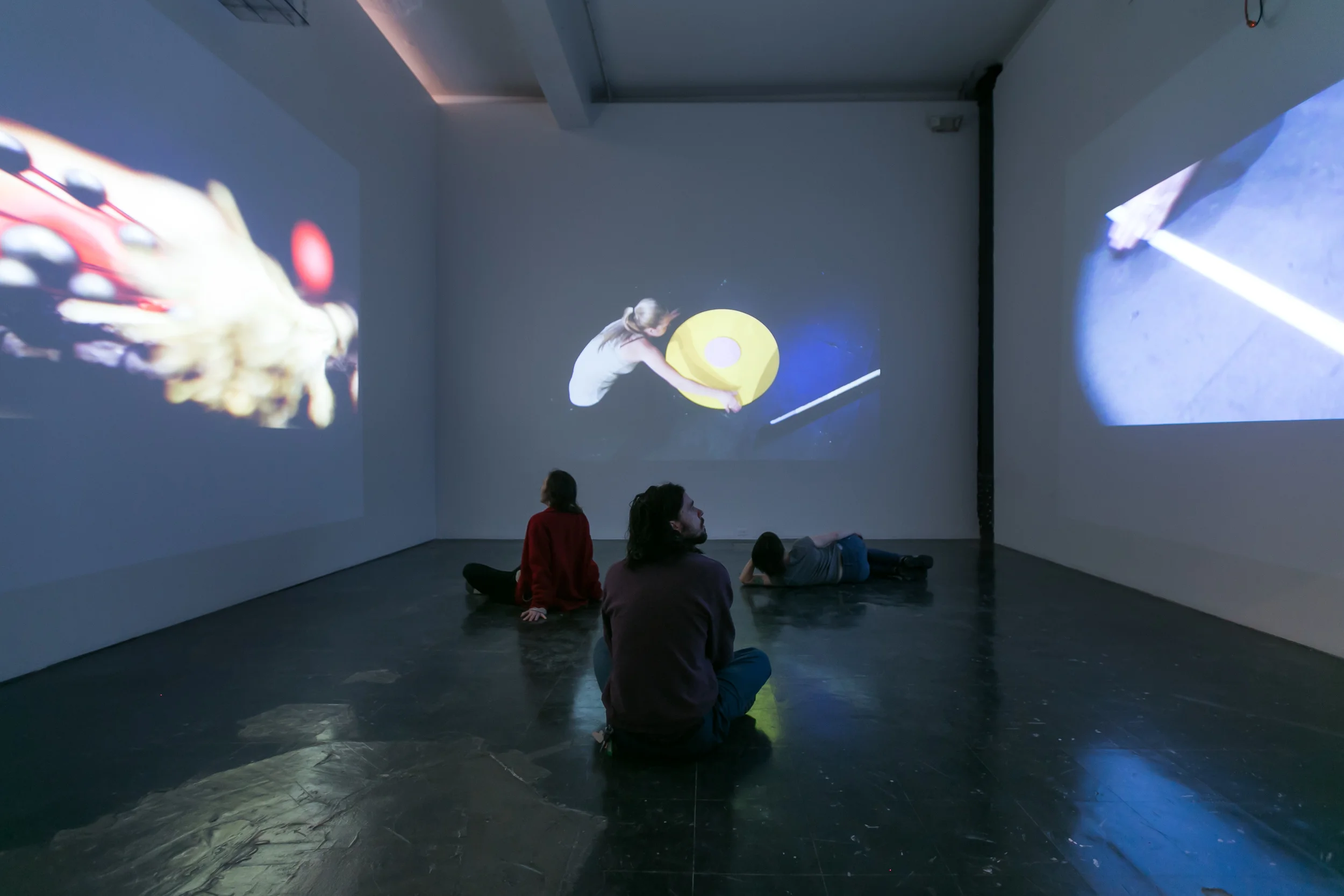 The Reduction (Installation View) (2016)