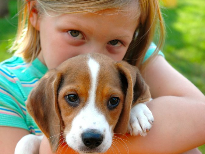 Puppy love