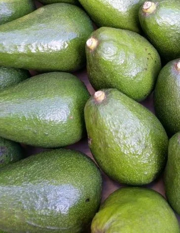 avos (2).jpg