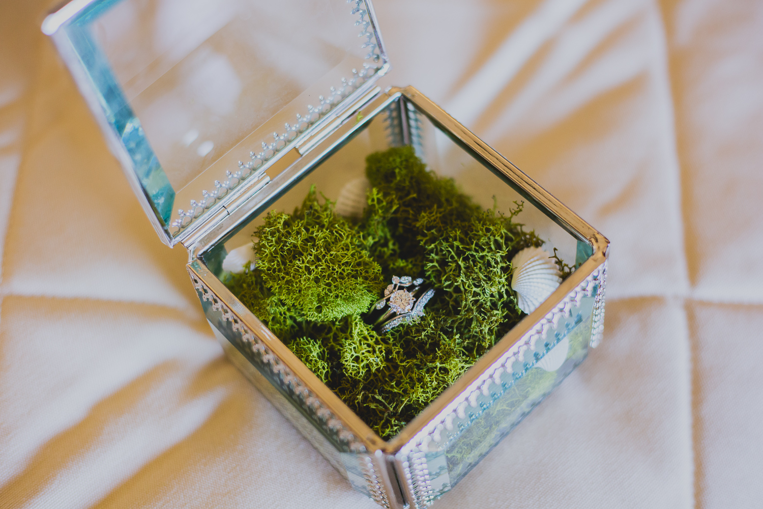 CaboWedding_Web_ByTessCagle_036.jpg