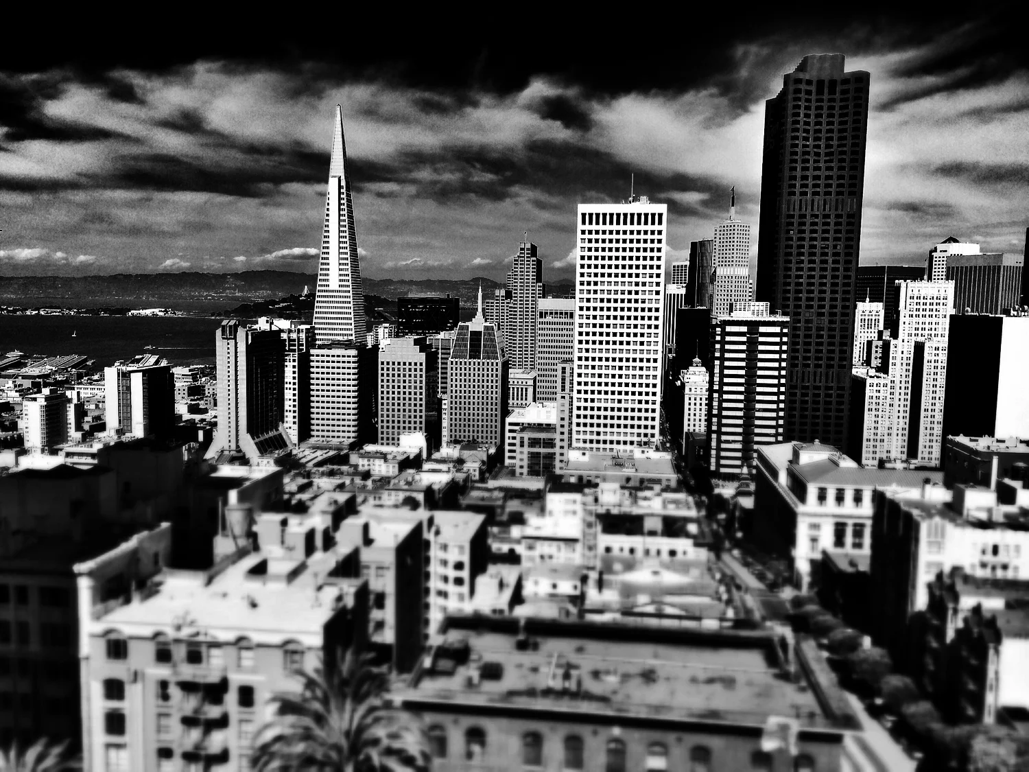 To Ello or not to Ello