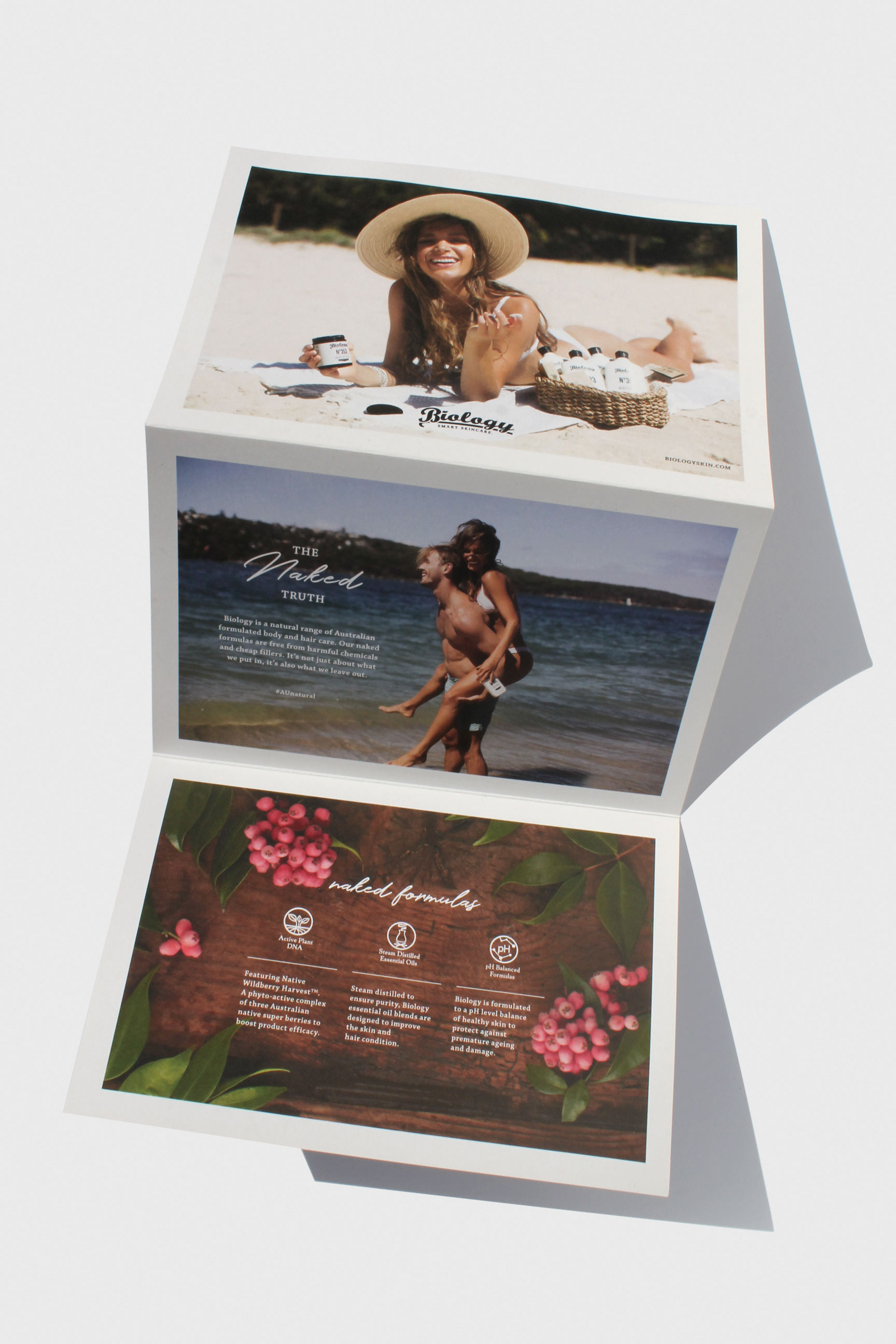 BIOLOGY_tri-fold_IMG_1040.jpg