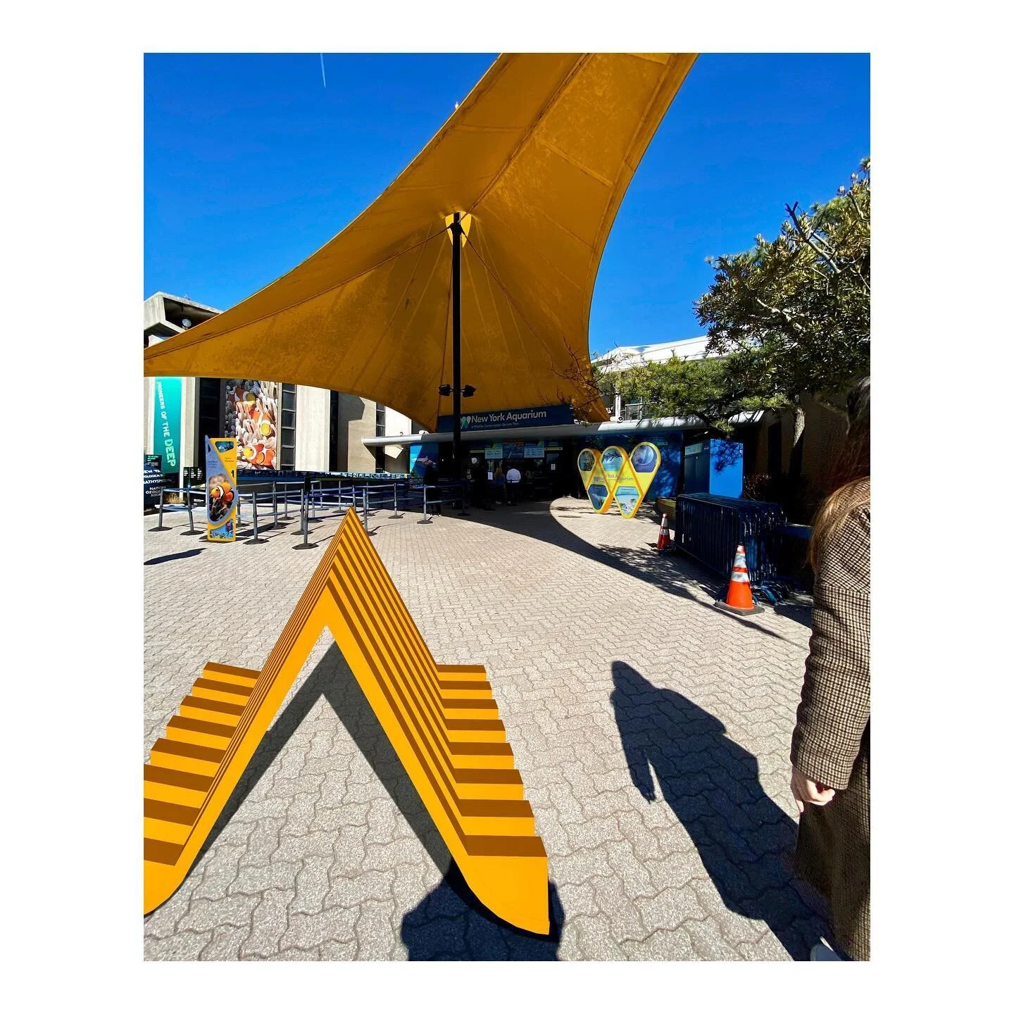 Ticketing experience seating from a wayfinding and placemaking project for @nyaquarium @thewcs @fitnyc 
.
.
.
.
.

#design #exhibitiondesign #experiencedesign #signage #fashioninstituteoftechnology #signagedesign #wayfinding #exhibition #experience #