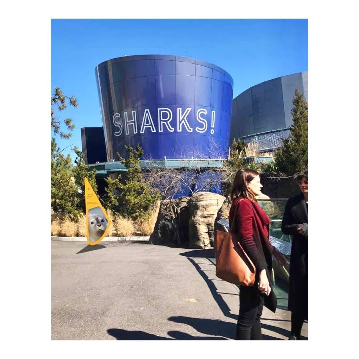 Donation signage rendering from a wayfinding and placemaking project for @nyaquarium @thewcs @fitnyc 
.
.
.
.
.
#design #exhibitiondesign #experiencedesign #signage #fashioninstituteoftechnology #signagedesign #wayfinding #exhibition #experience #int