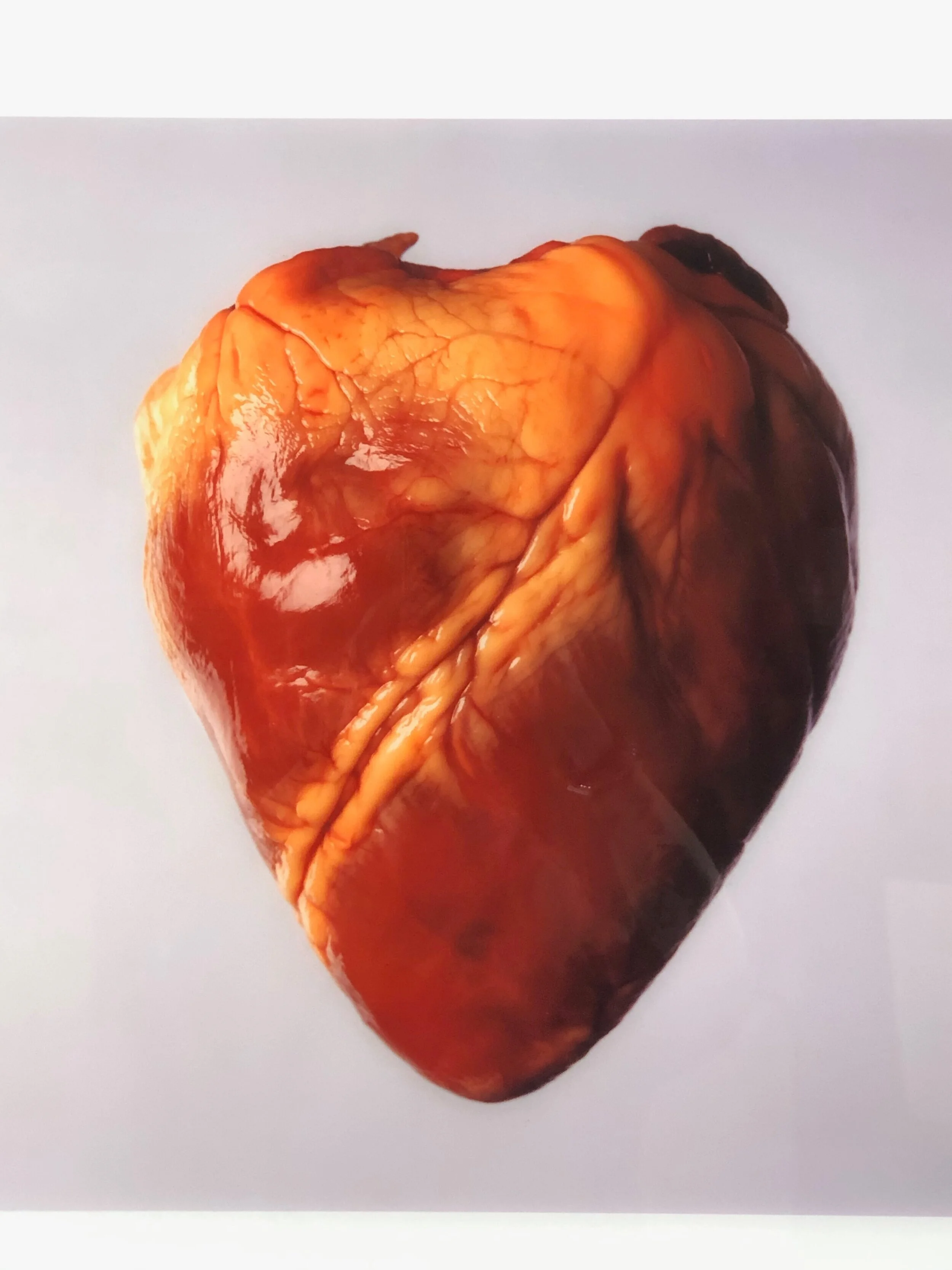 by MICHAEL YEE CHONG