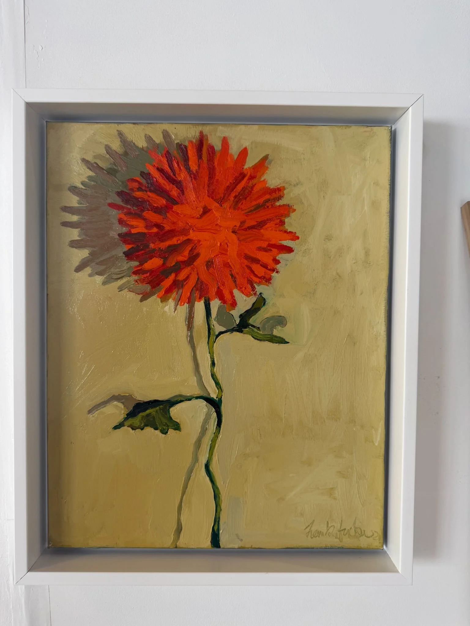 ZINNIA
