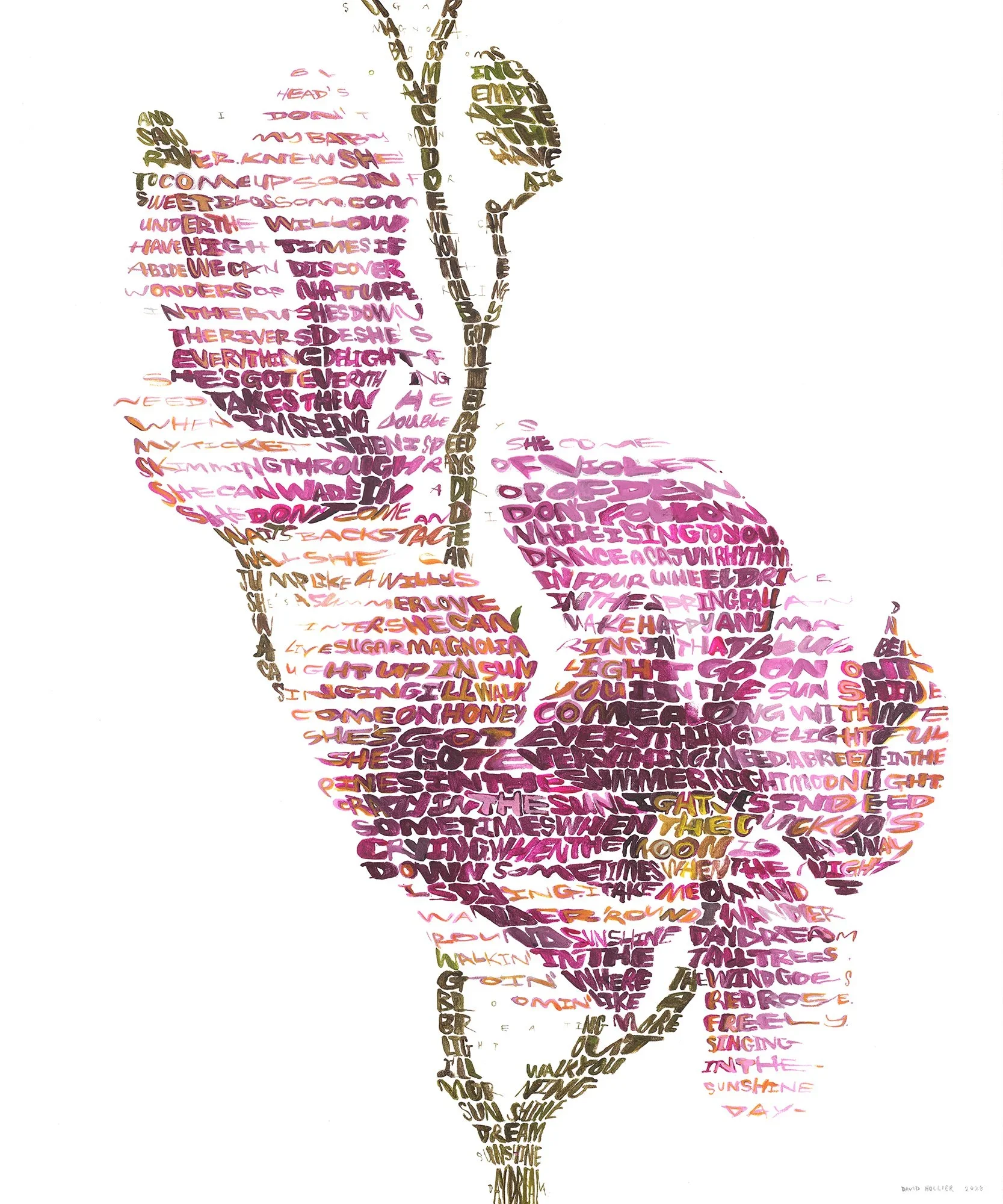 sugarMagnoliaSM.webp