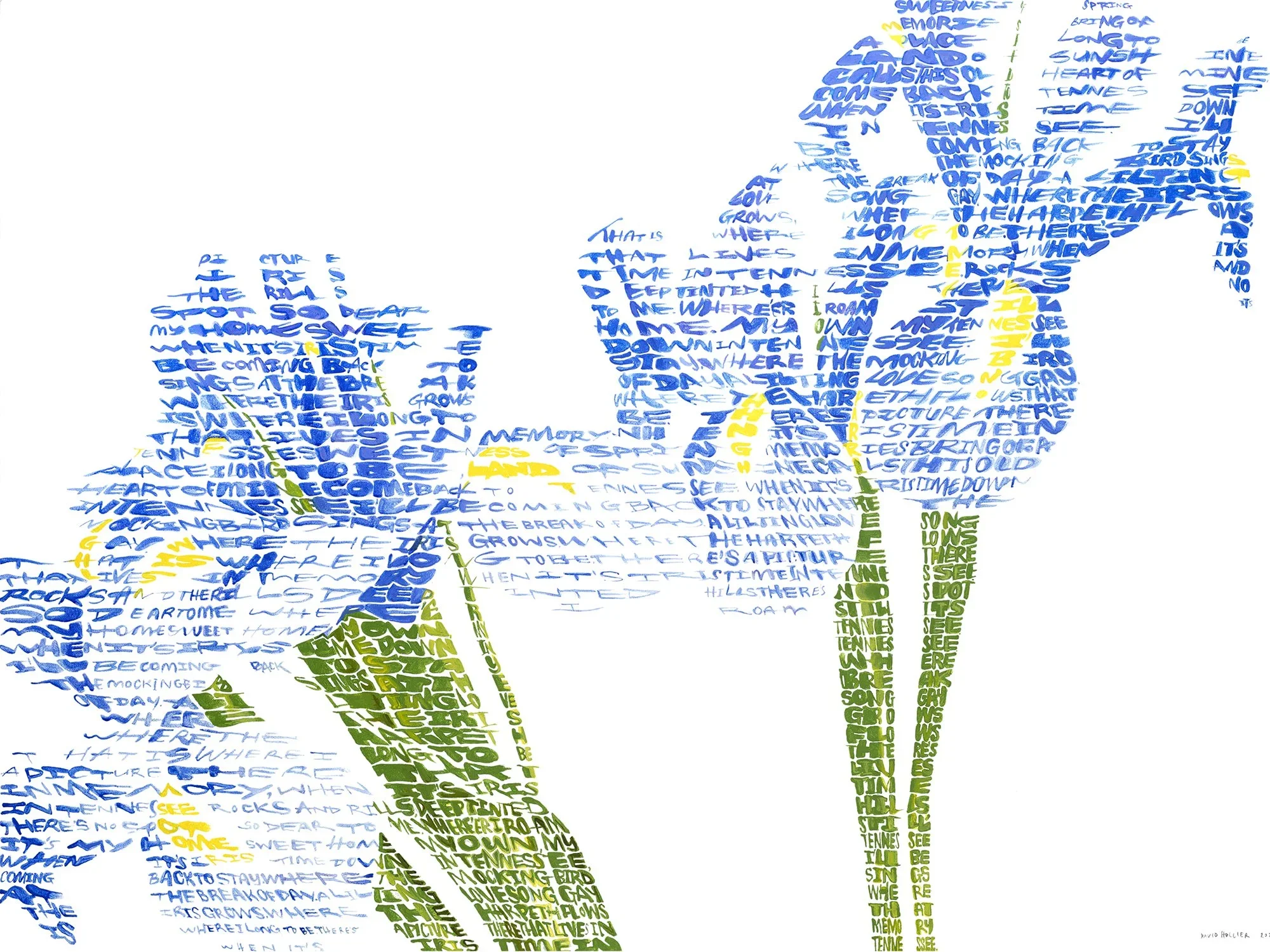 irisFINsm.webp