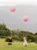 2048_57fe1ddf78c10.jpeg