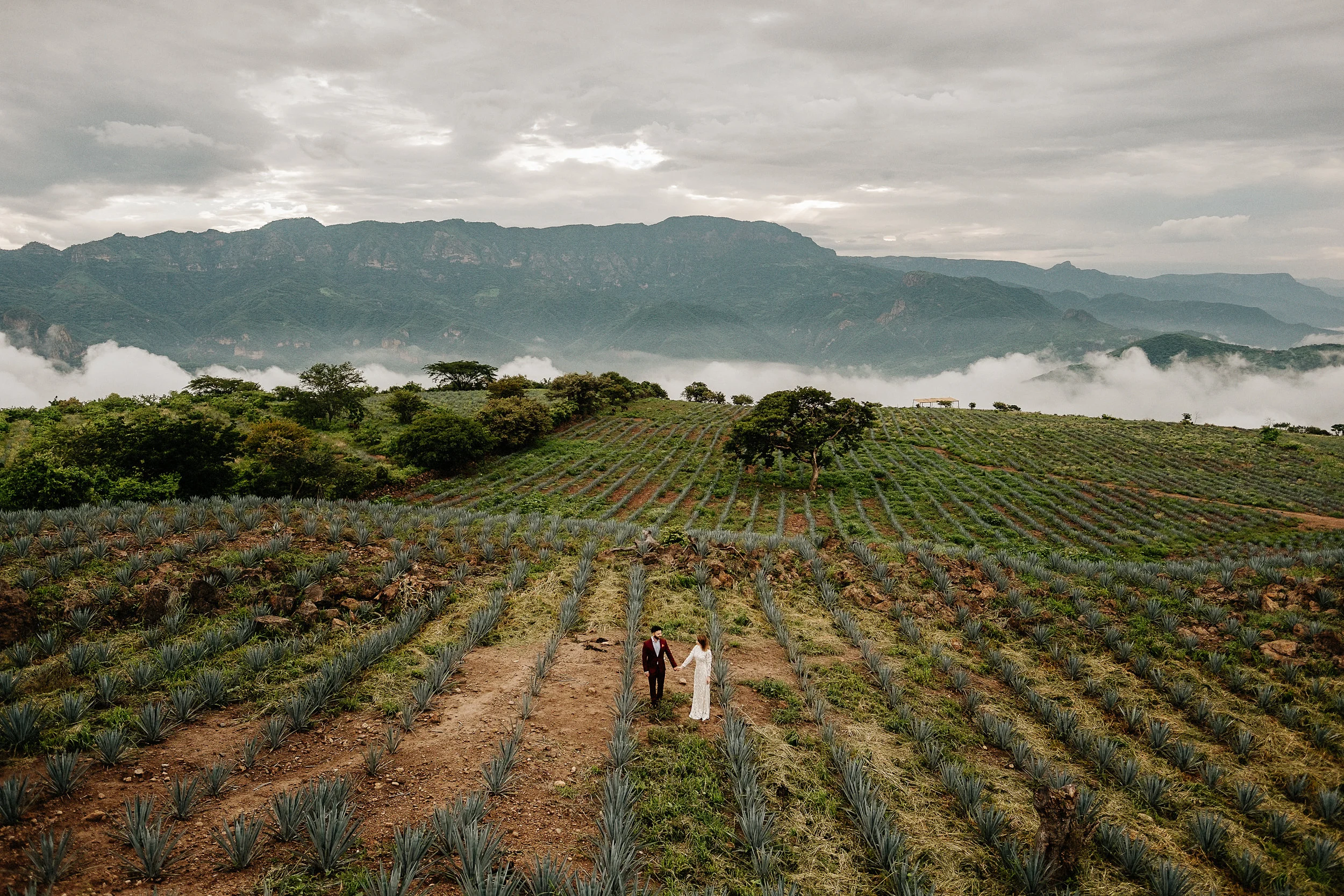 M+N-Engagement-11.jpg