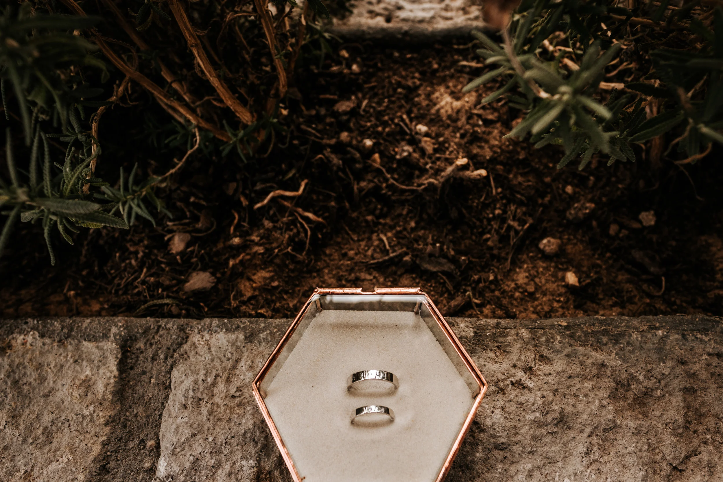 S+R-Boda-117.jpg