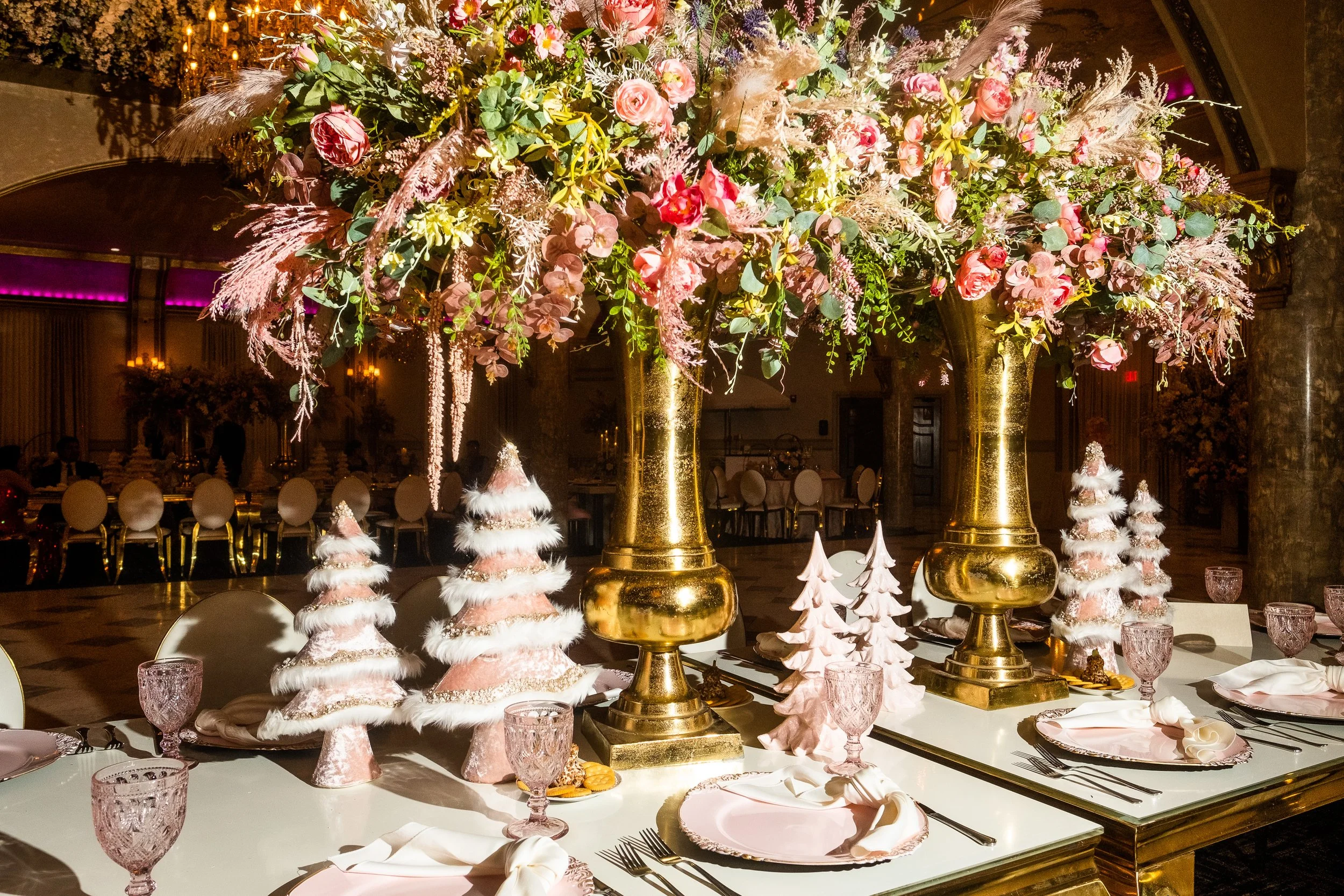 Isabella xv -150.jpg