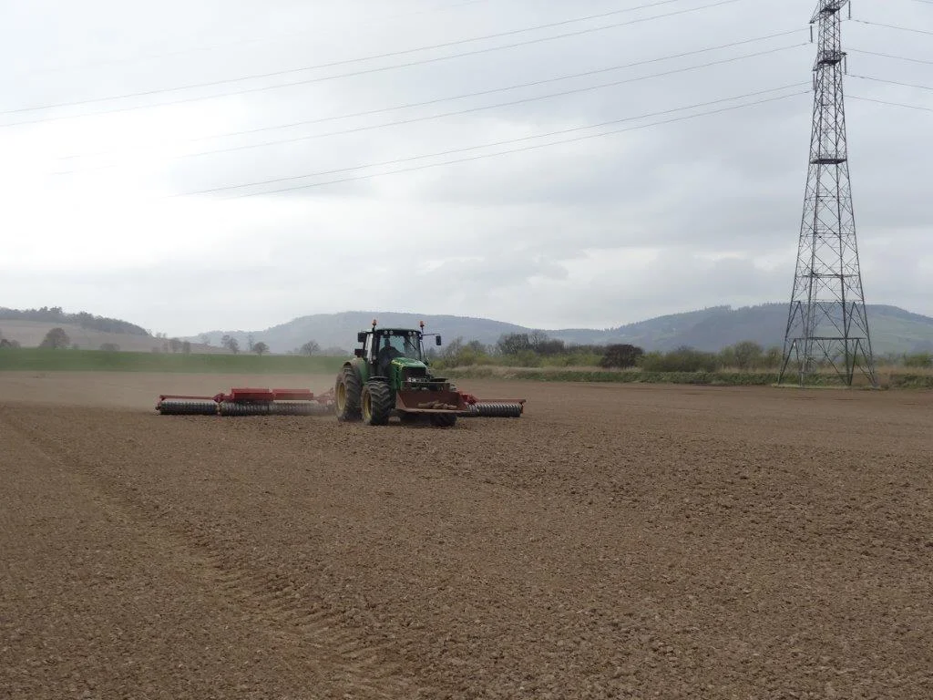 Amazing The Difference A Year Makes!