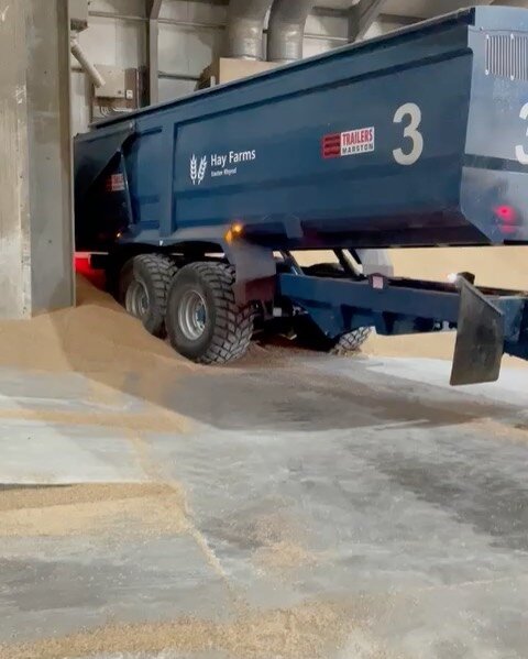The grain dryer goes 24/7 during harvest with a constant stream of bogeys and lorries bringing grain to be dried to an exact moisture level 🚛