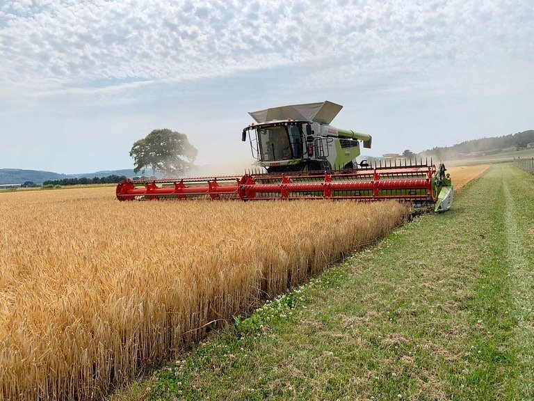 Harvest 2022 well underway 🚜🌾