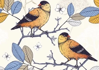 Illustration zwei Vögel