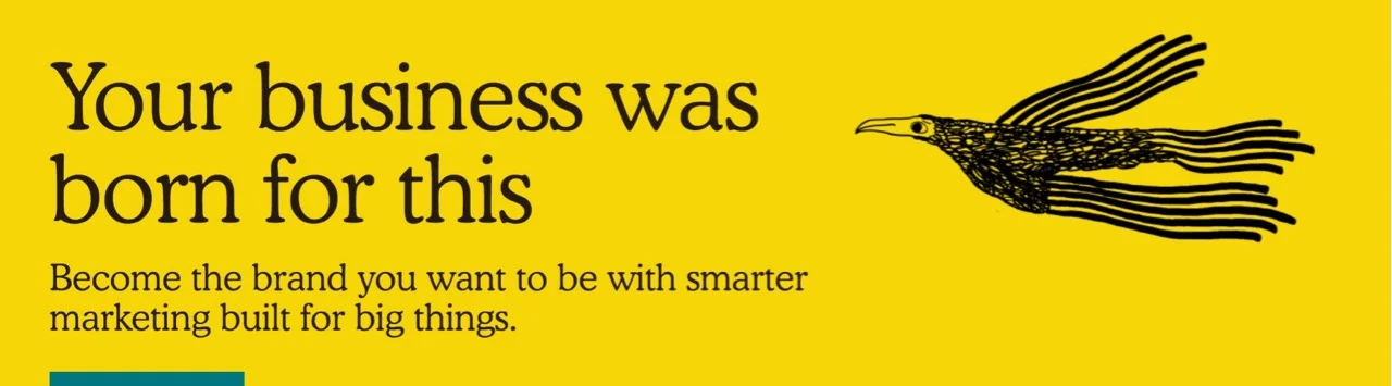 Beispiel für Serifen-Schrift bei Mailchimp