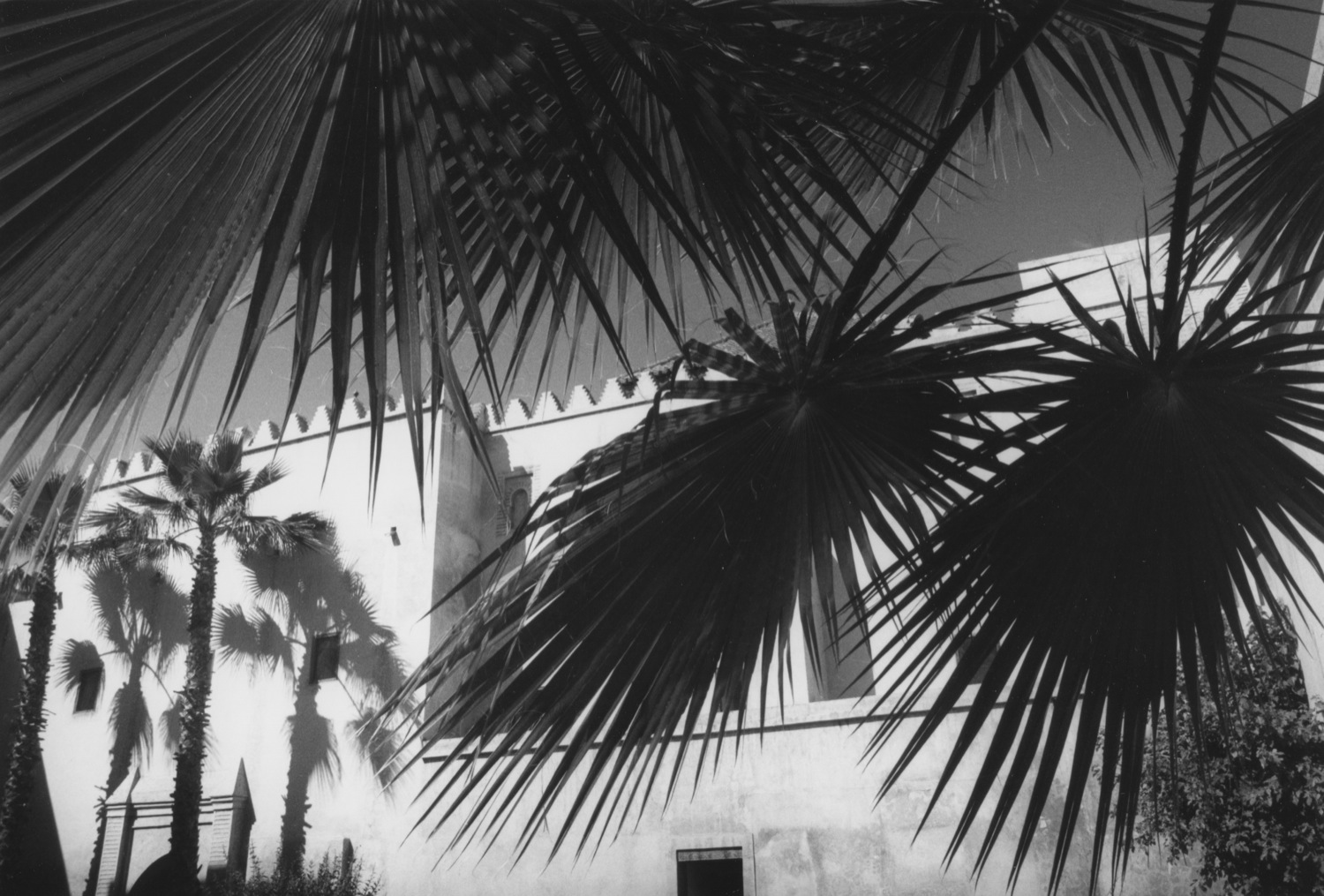 MoroccoBookTest099.jpg