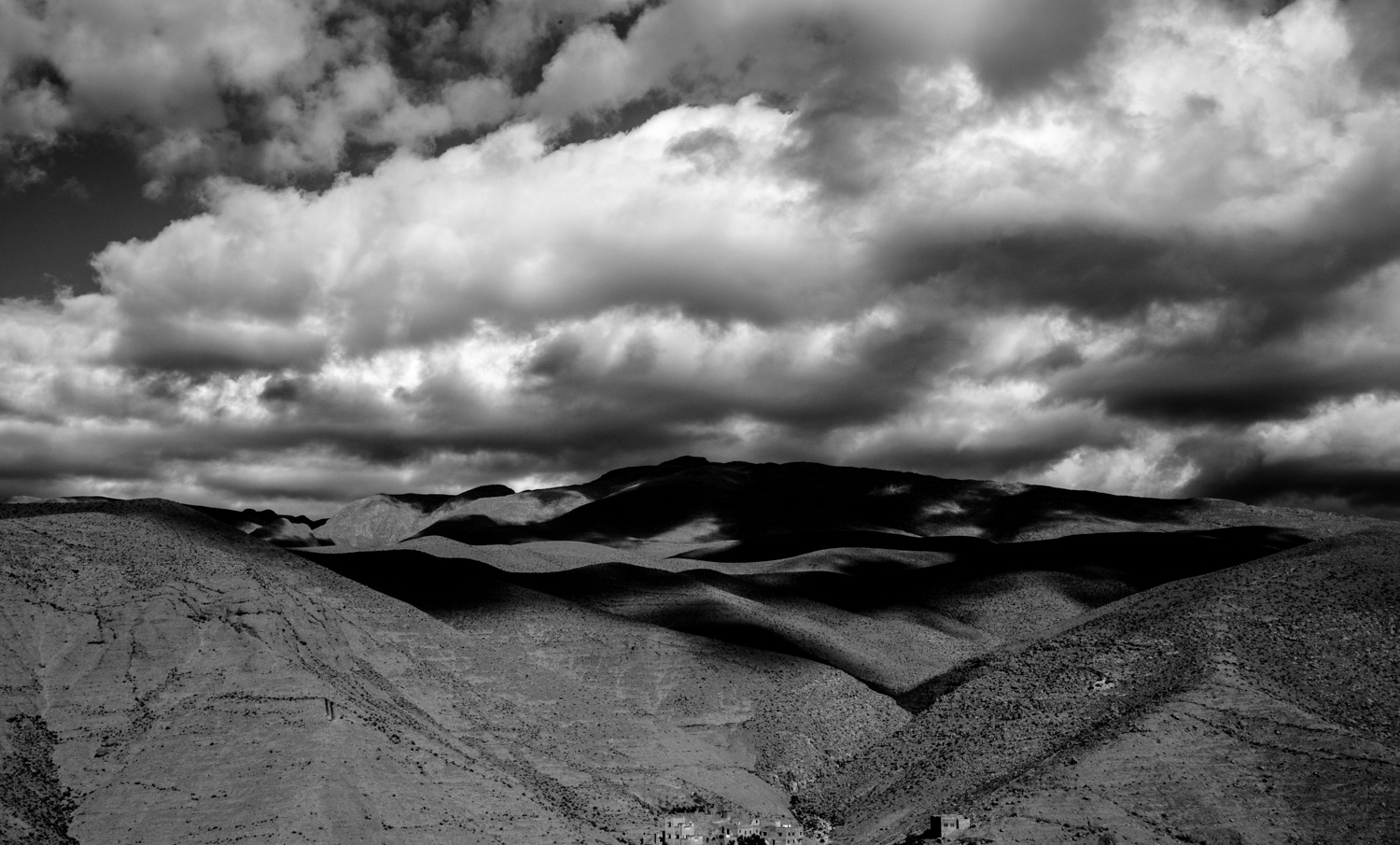 photos for the website 1-4.jpg