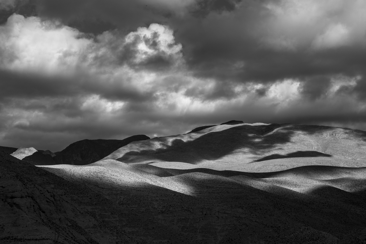 photos for the website 1-5.jpg