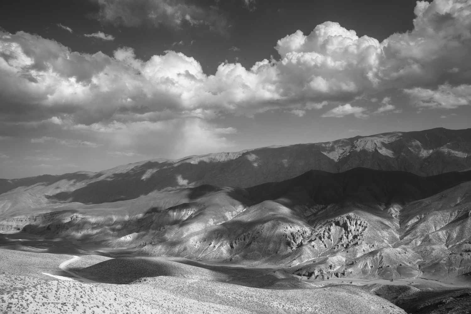 photos for the website 1-19.jpg