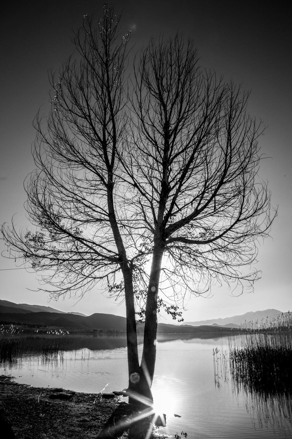 photos for the website 1-27.jpg