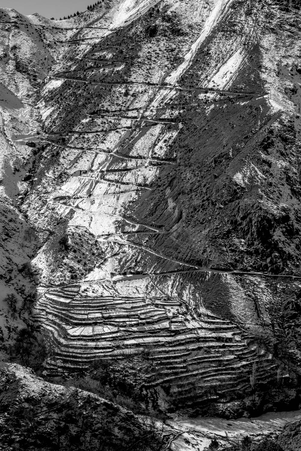 untitled-4.jpg