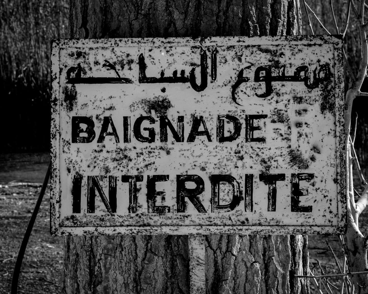 untitled-10.jpg