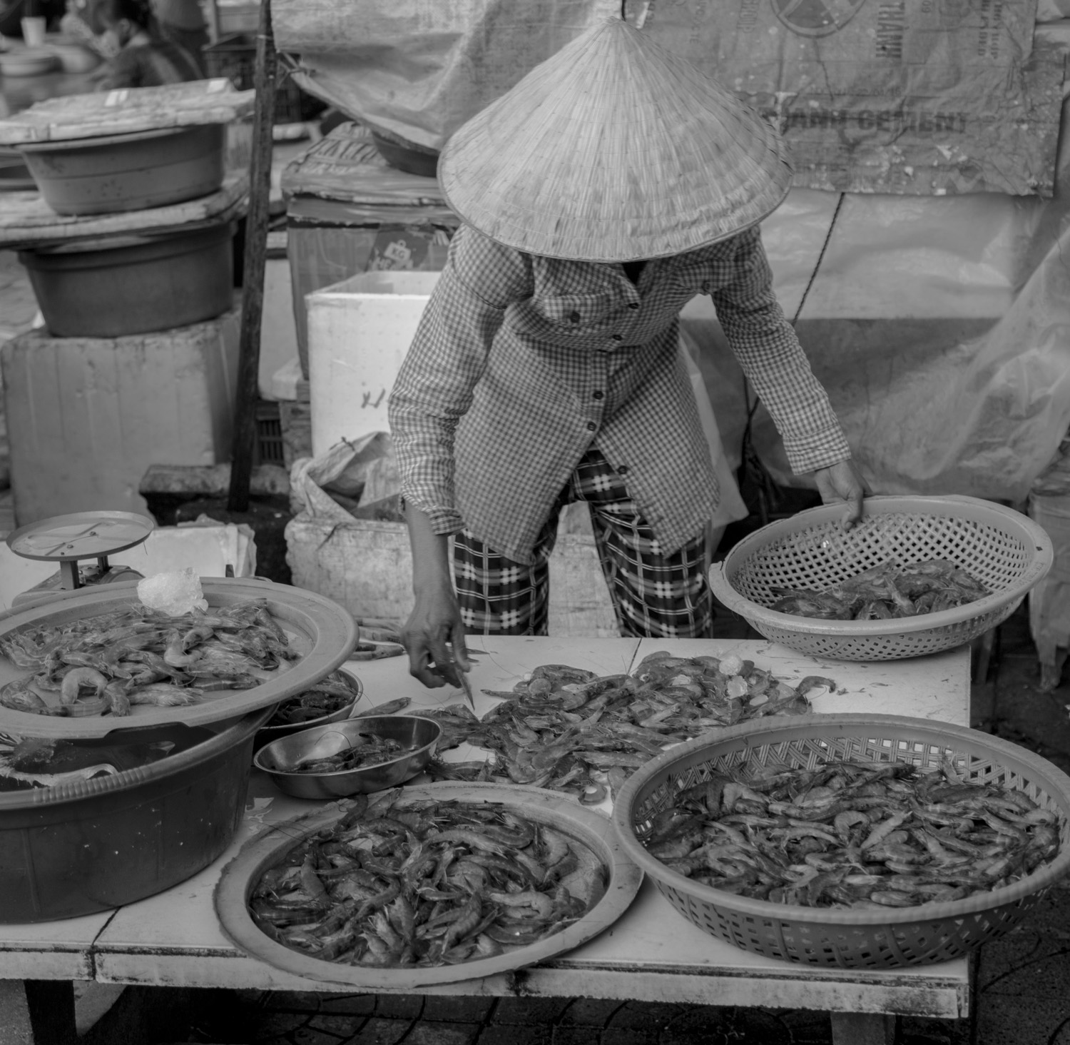 vietnam2017-35.jpg