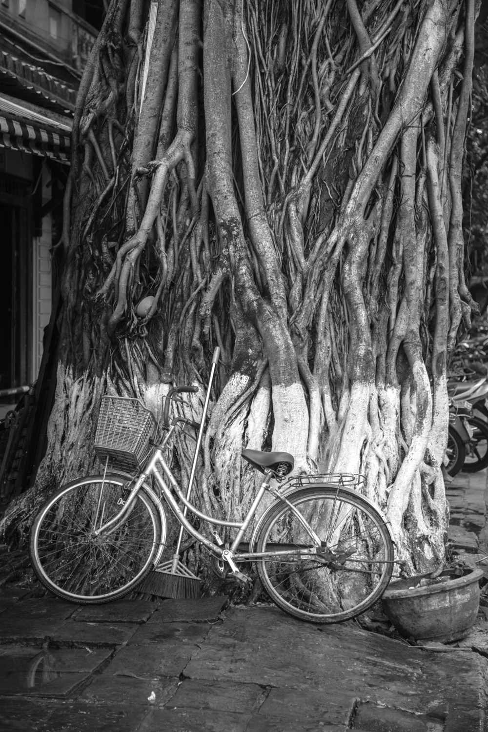 vietnam2017-40.jpg