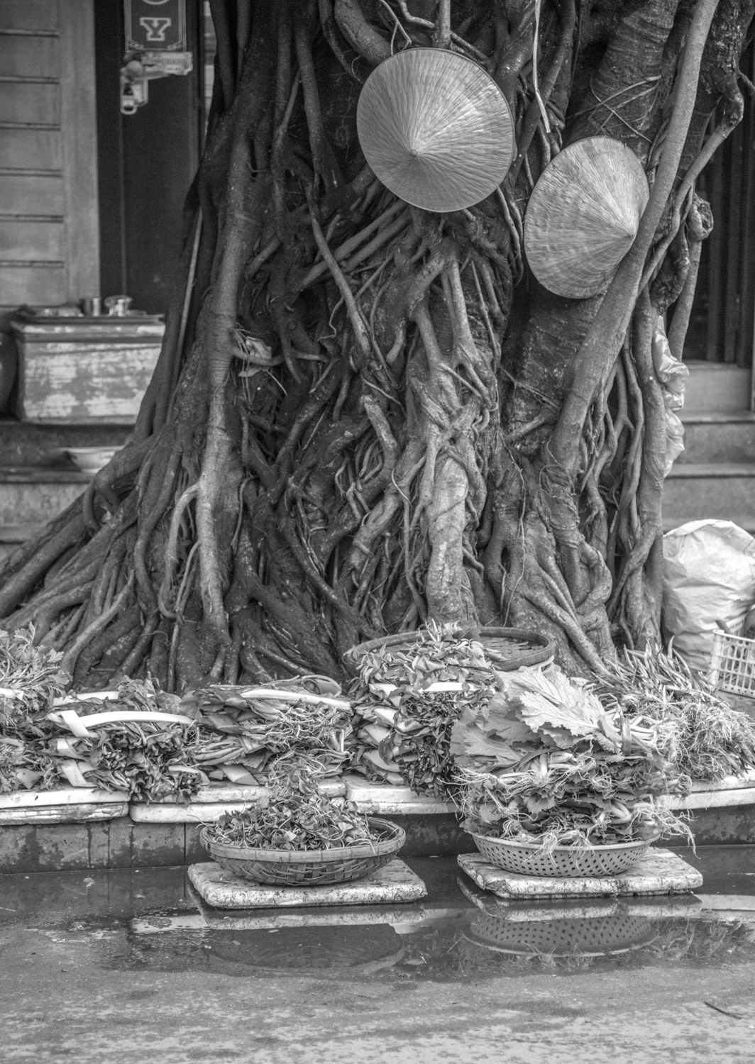vietnam2017-41.jpg