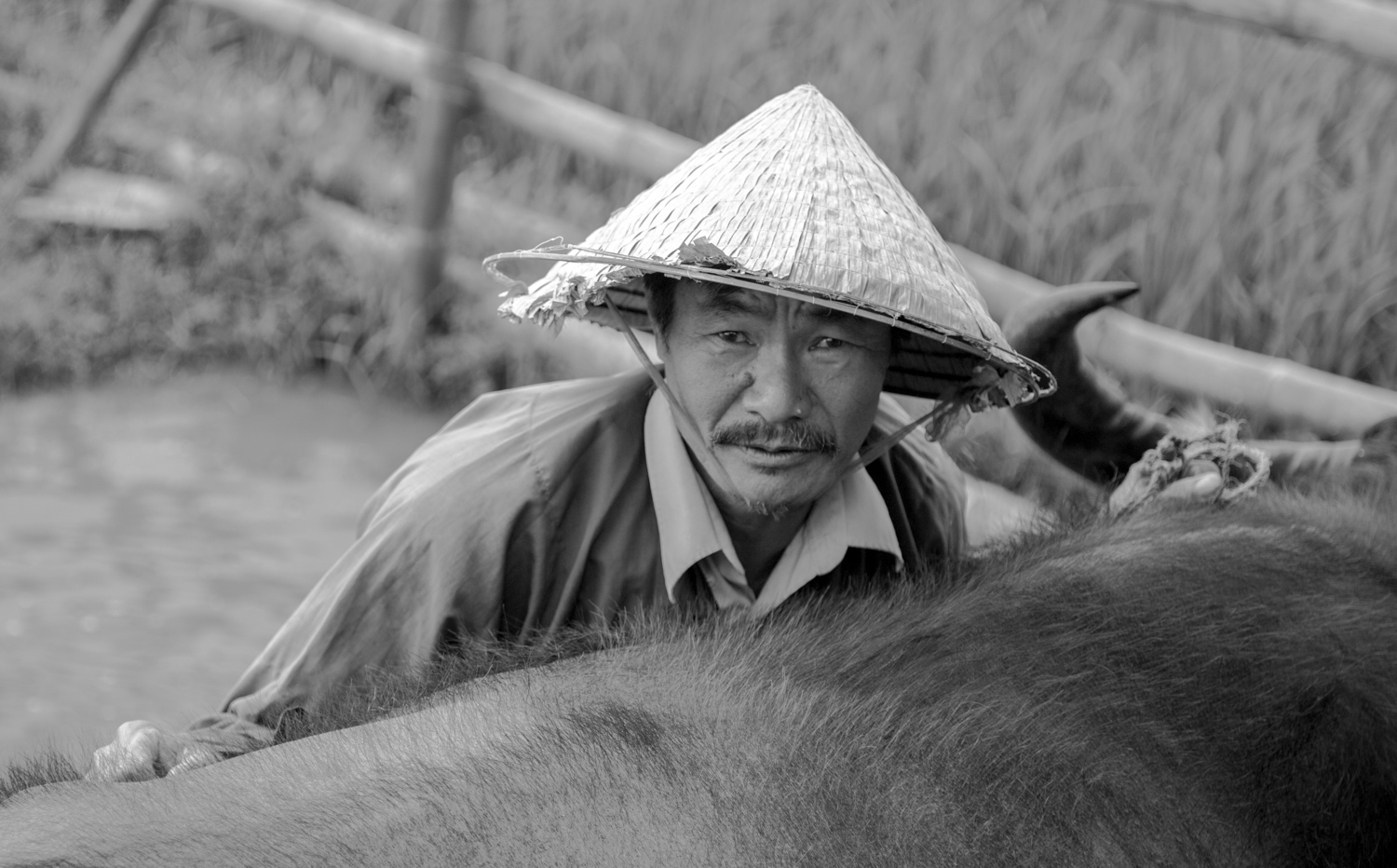 vietnam2017-52.jpg