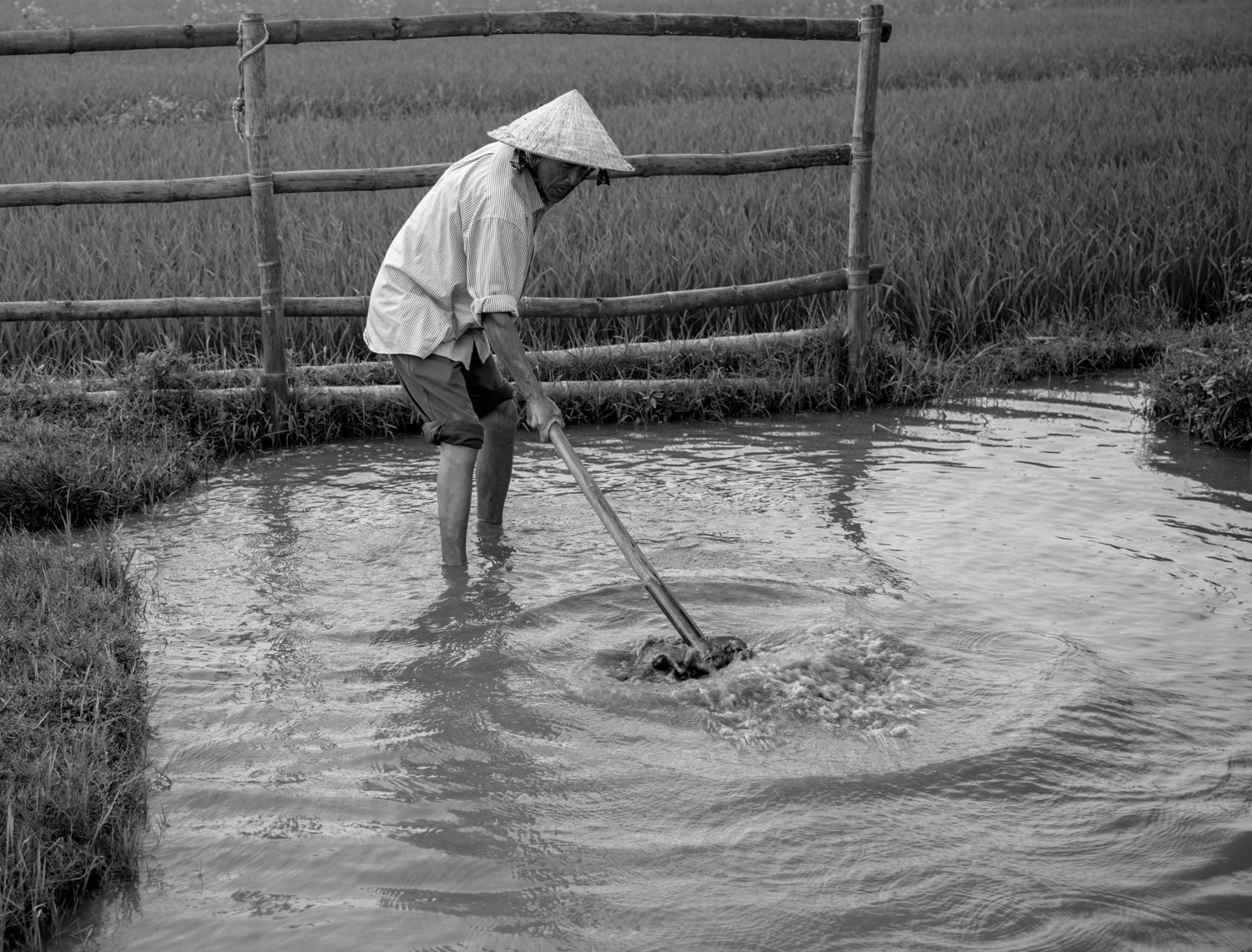 vietnam2017-54.jpg
