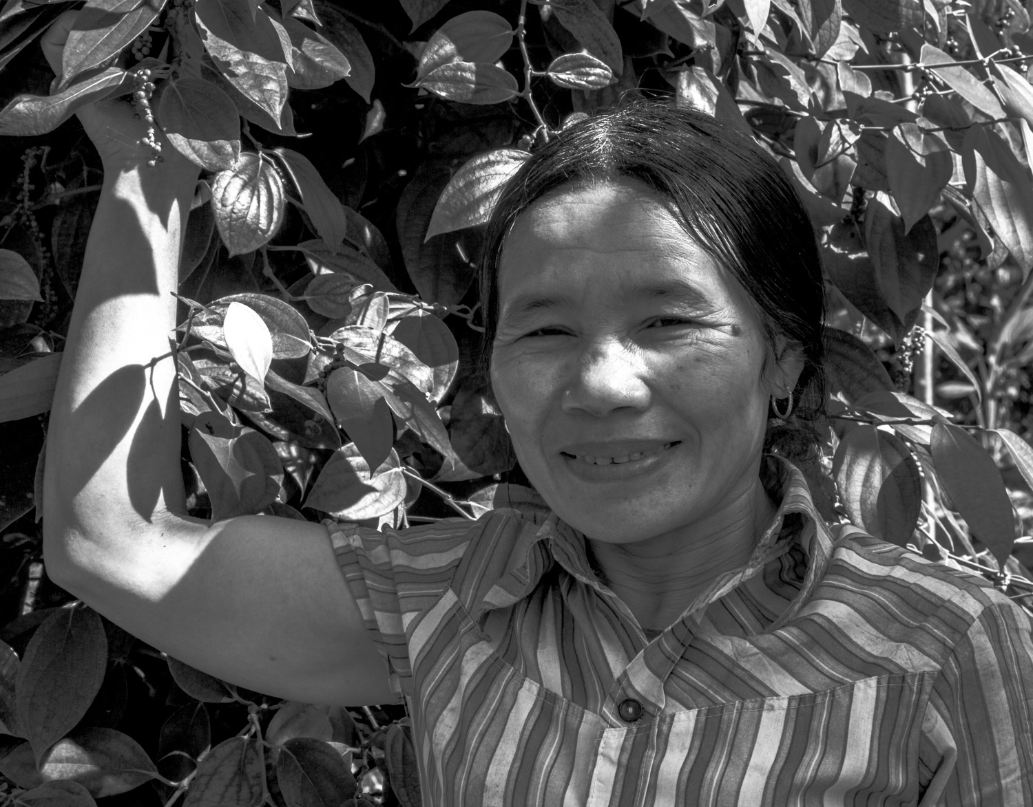 vietnam2017-83.jpg
