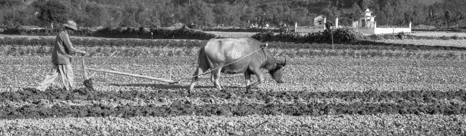vietnam2017-85.jpg