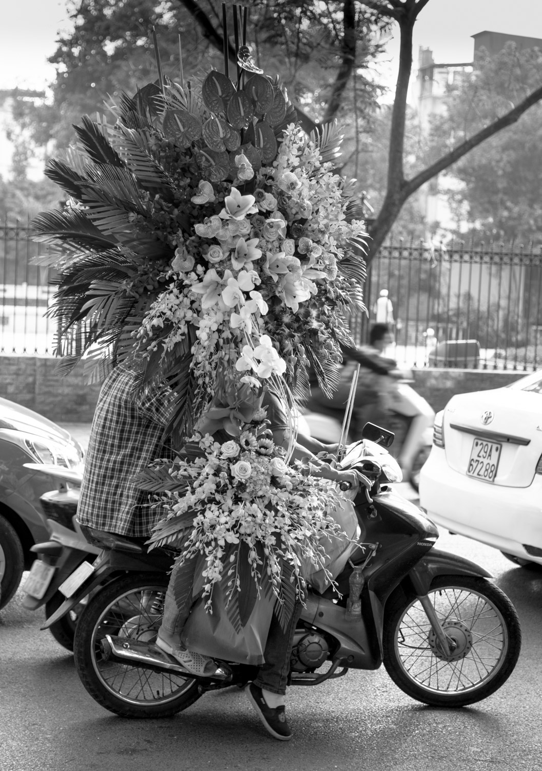 vietnam2017-106.jpg