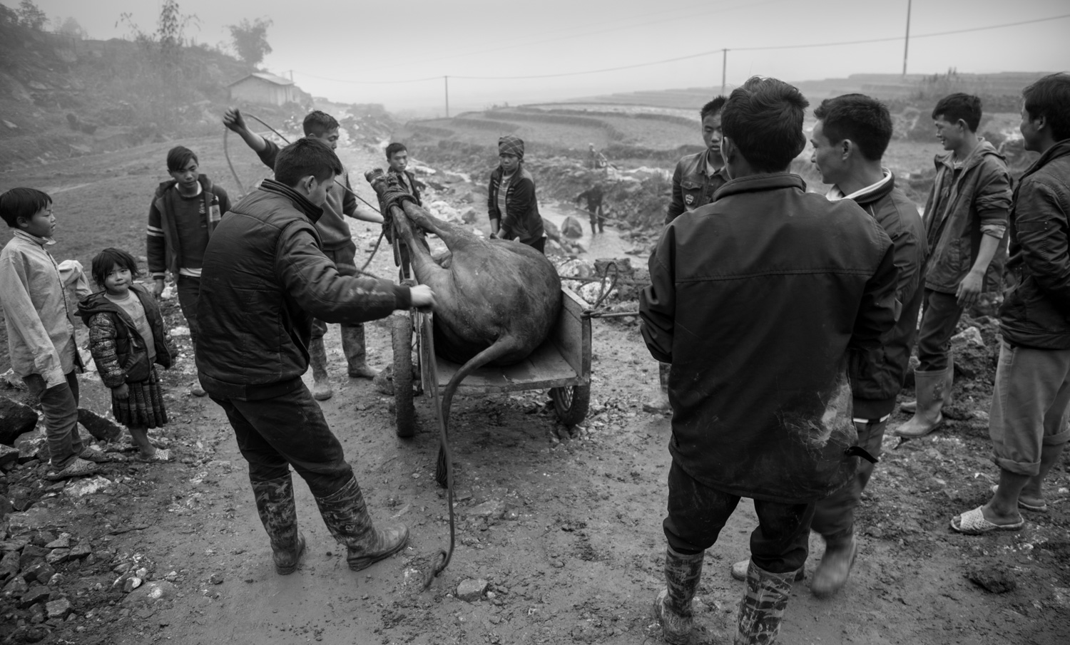 vietnam2017-172.jpg