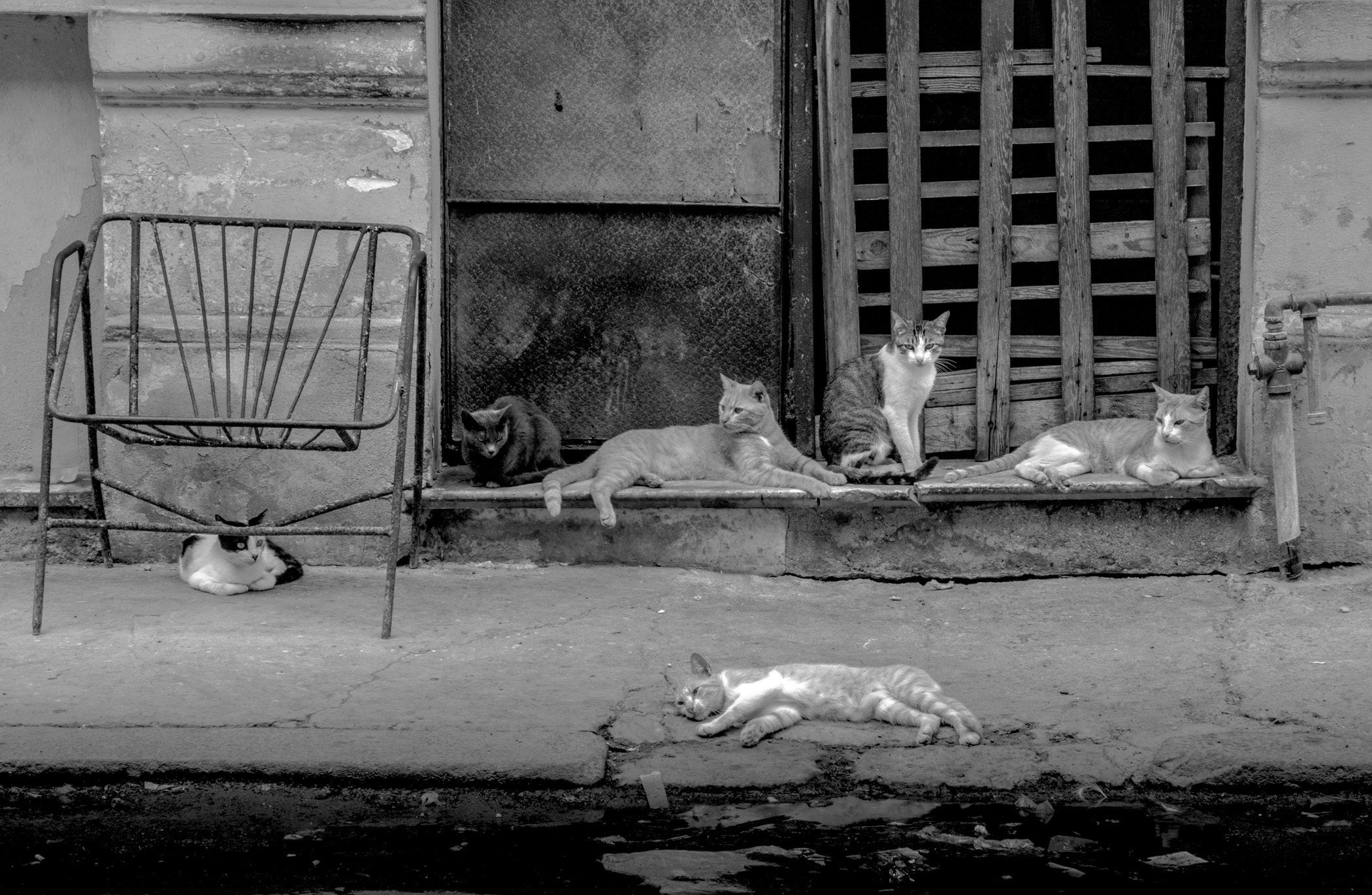 Cuba 2018 Web Site-5.jpg