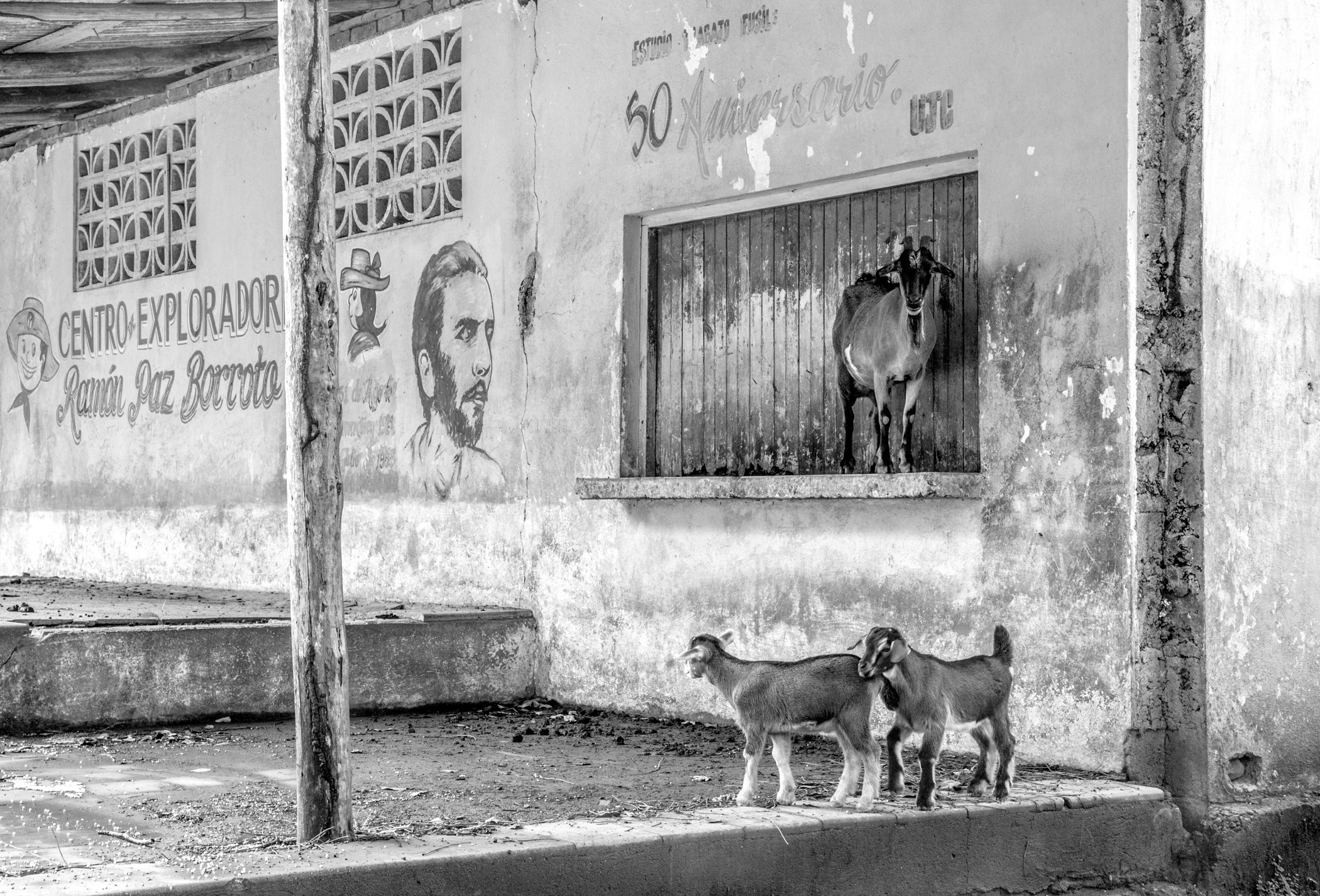 Cuba 2018 Web Site-60.jpg