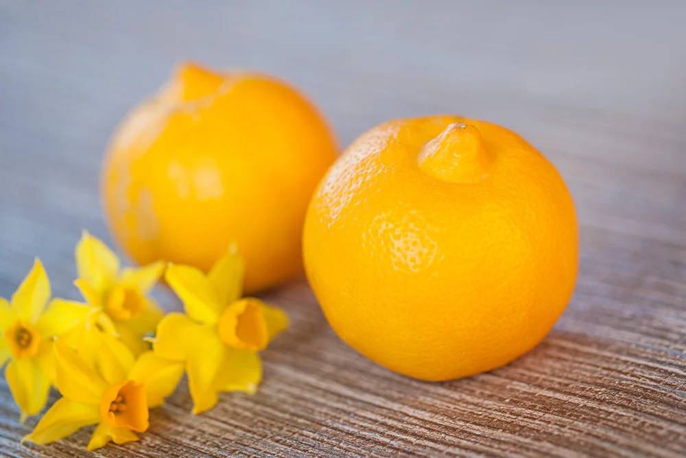 organic lemons.jpg