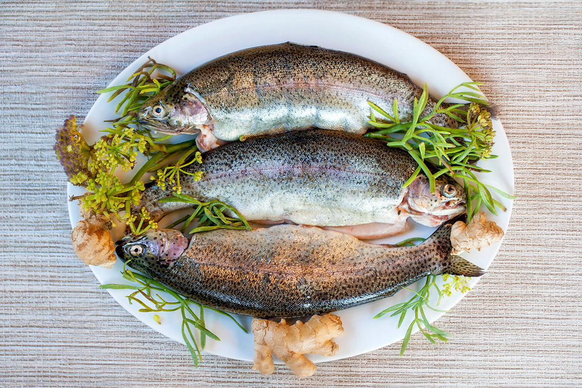 organic trout.jpg