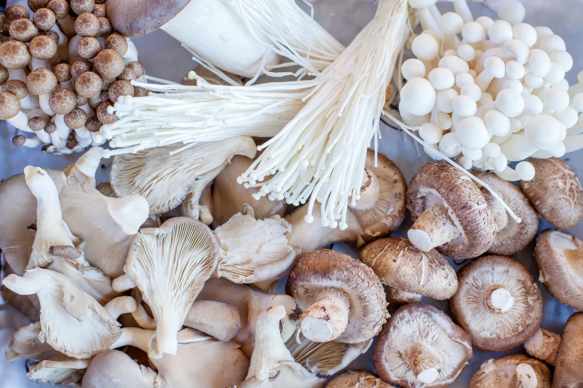 wild mushrooms.jpg