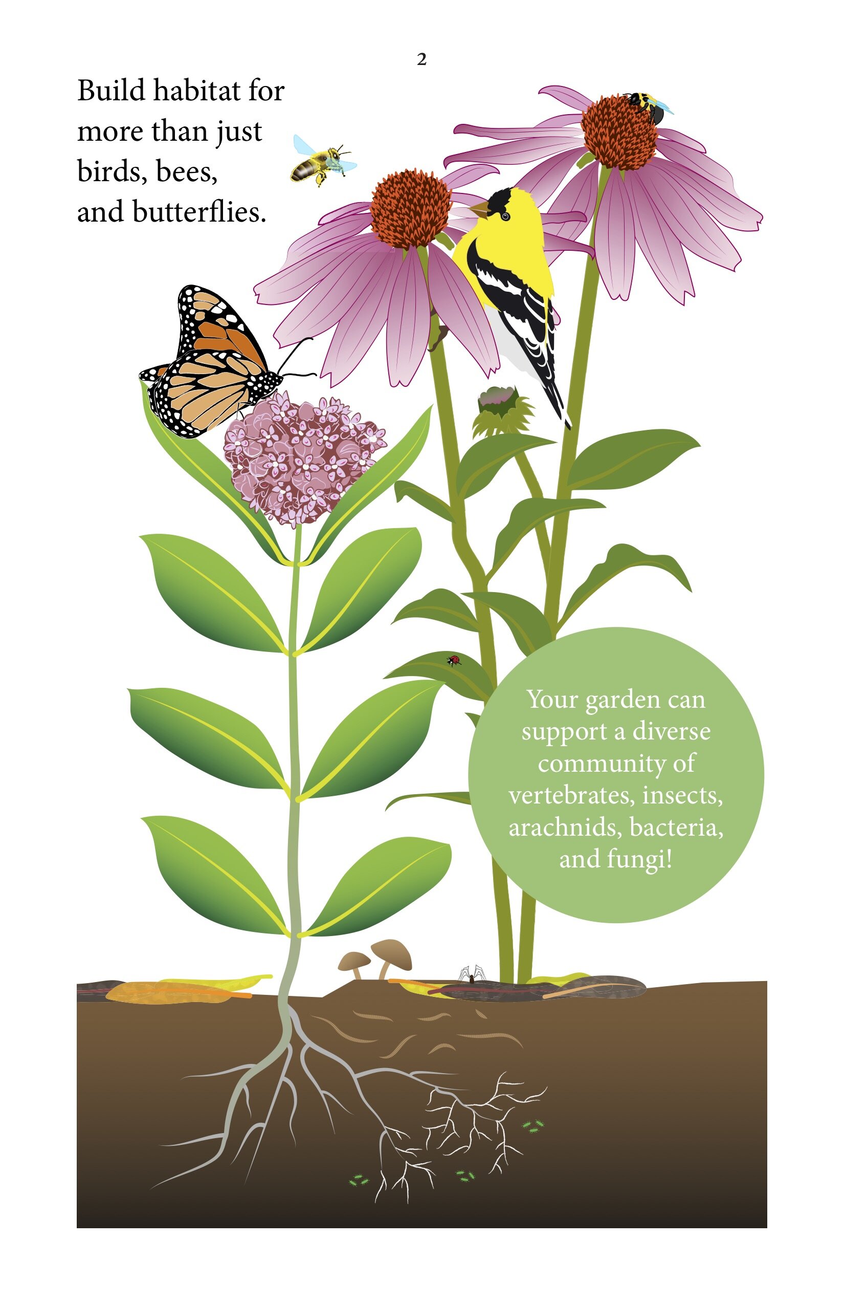 FINAL_NLC Pollinator Garden Booklet 3.jpg