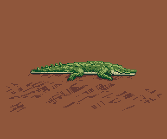 Crocodile.png
